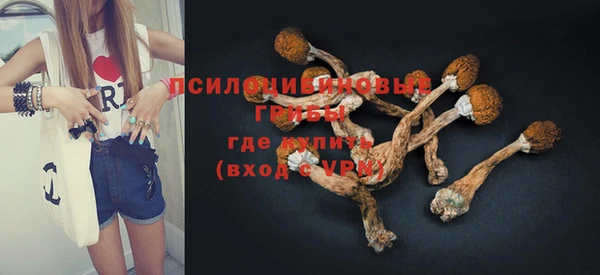 spice Балахна
