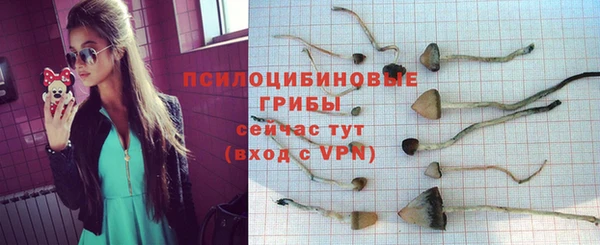 амфетамин Новокубанск